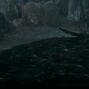 Image with missing alt attribute found on kizlarsoruyor.com