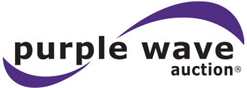 Purple Wave, Inc.