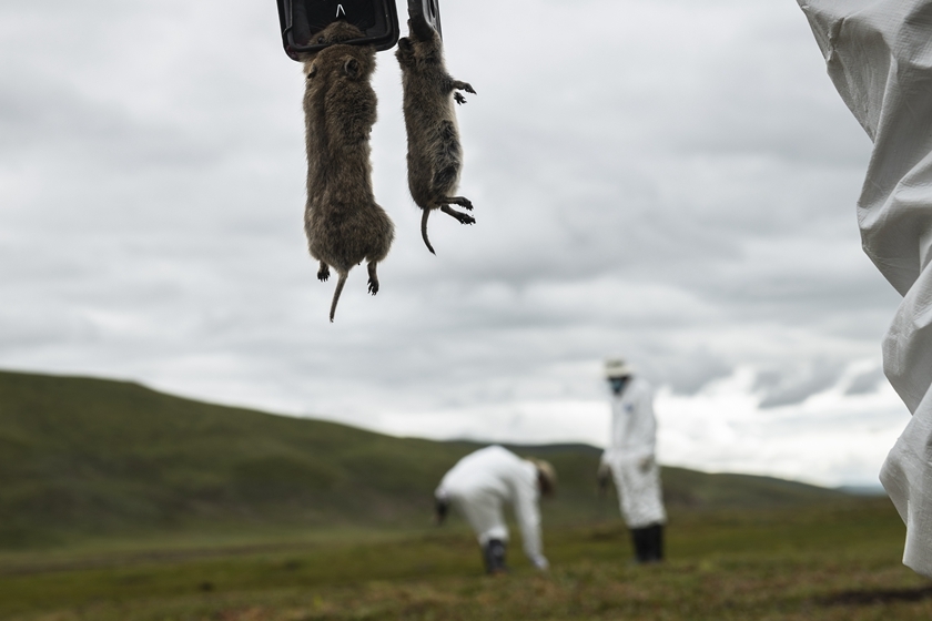 Image with missing alt attribute found on caixin.com