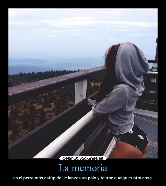 carteles desmotivaciones vida pasado memoria desmotivaciones