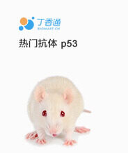 Image with missing alt attribute found on biomart.cn