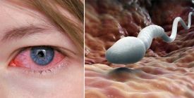 Image with missing alt attribute found on instory.cz