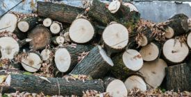 Image with missing alt attribute found on instory.cz