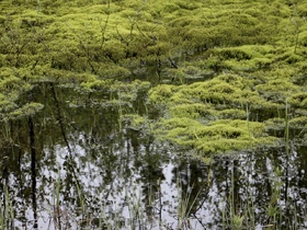 Image with missing alt attribute found on rosbalt.ru