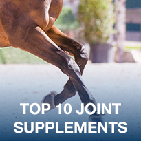 Image with missing alt attribute found on smartpakequine.com