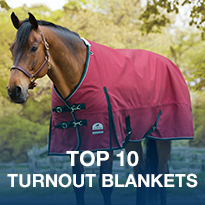 Image with missing alt attribute found on smartpakequine.com