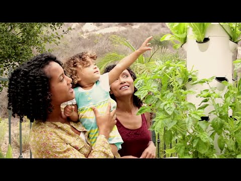 Image with missing alt attribute found on towergarden.com