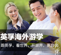 Image with missing alt attribute found on xialingying.cc