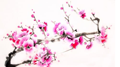 Image with missing alt attribute found on secretchina.com