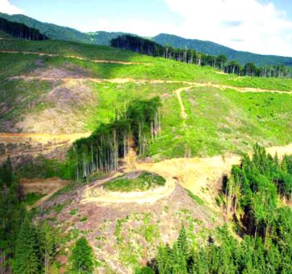 Image with missing alt attribute found on lenta.ua