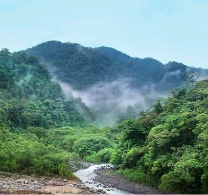 Image with missing alt attribute found on lenta.ua