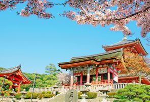 Image with missing alt attribute found on despegar.cl