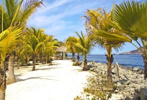 Image with missing alt attribute found on despegar.hn