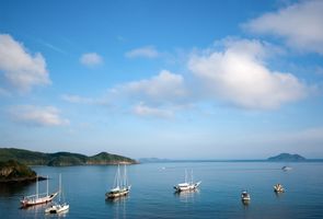 Image with missing alt attribute found on decolar.com