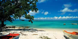 Image with missing alt attribute found on exotismes.fr