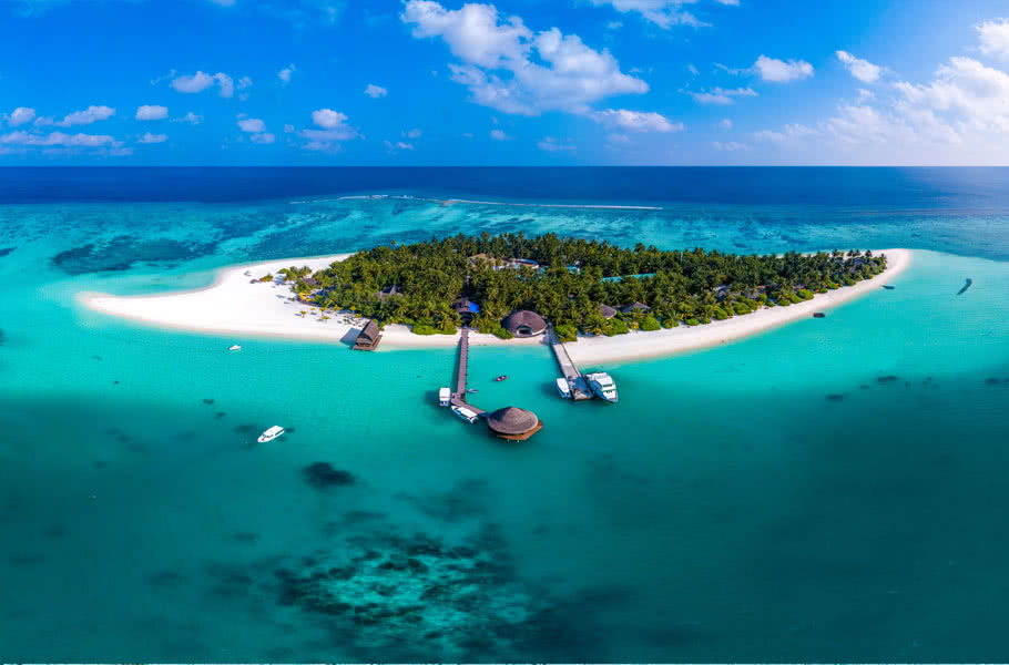 Image with missing alt attribute found on exotismes.fr