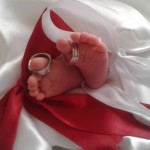 جوجه طلایی ما