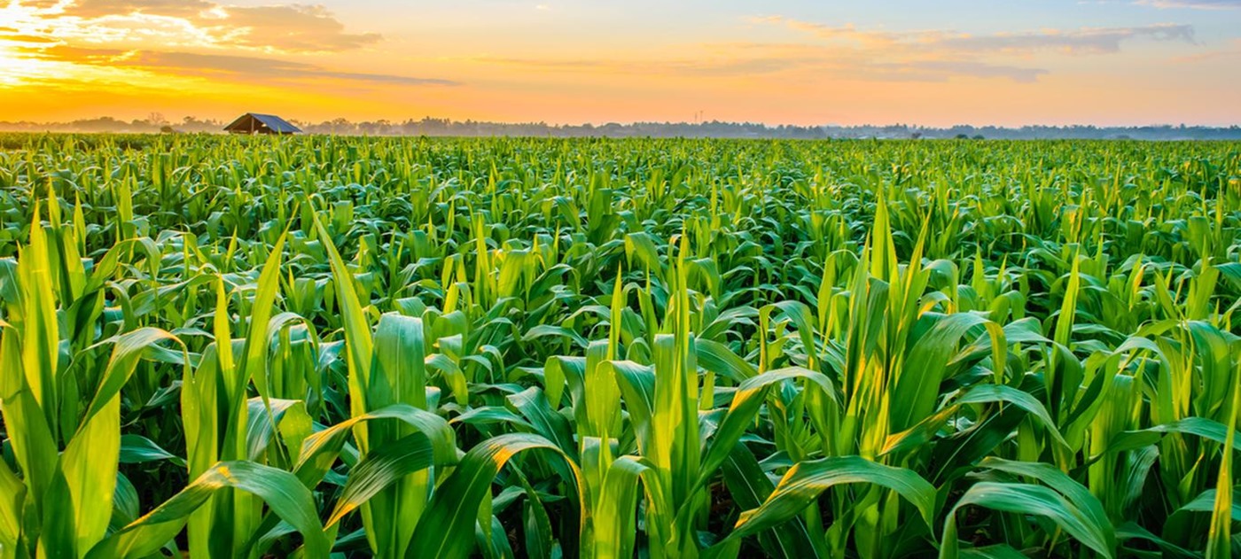 Image with missing alt attribute found on npowerfarmers.ng