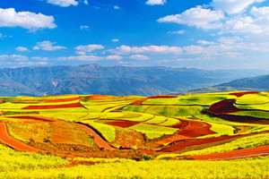 Image with missing alt attribute found on ly.com