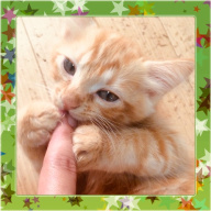 Image with missing alt attribute found on muragon.com