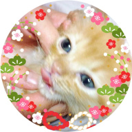 Image with missing alt attribute found on muragon.com