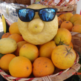 Image with missing alt attribute found on muragon.com