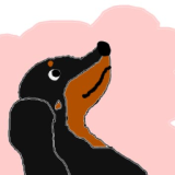 Image with missing alt attribute found on muragon.com