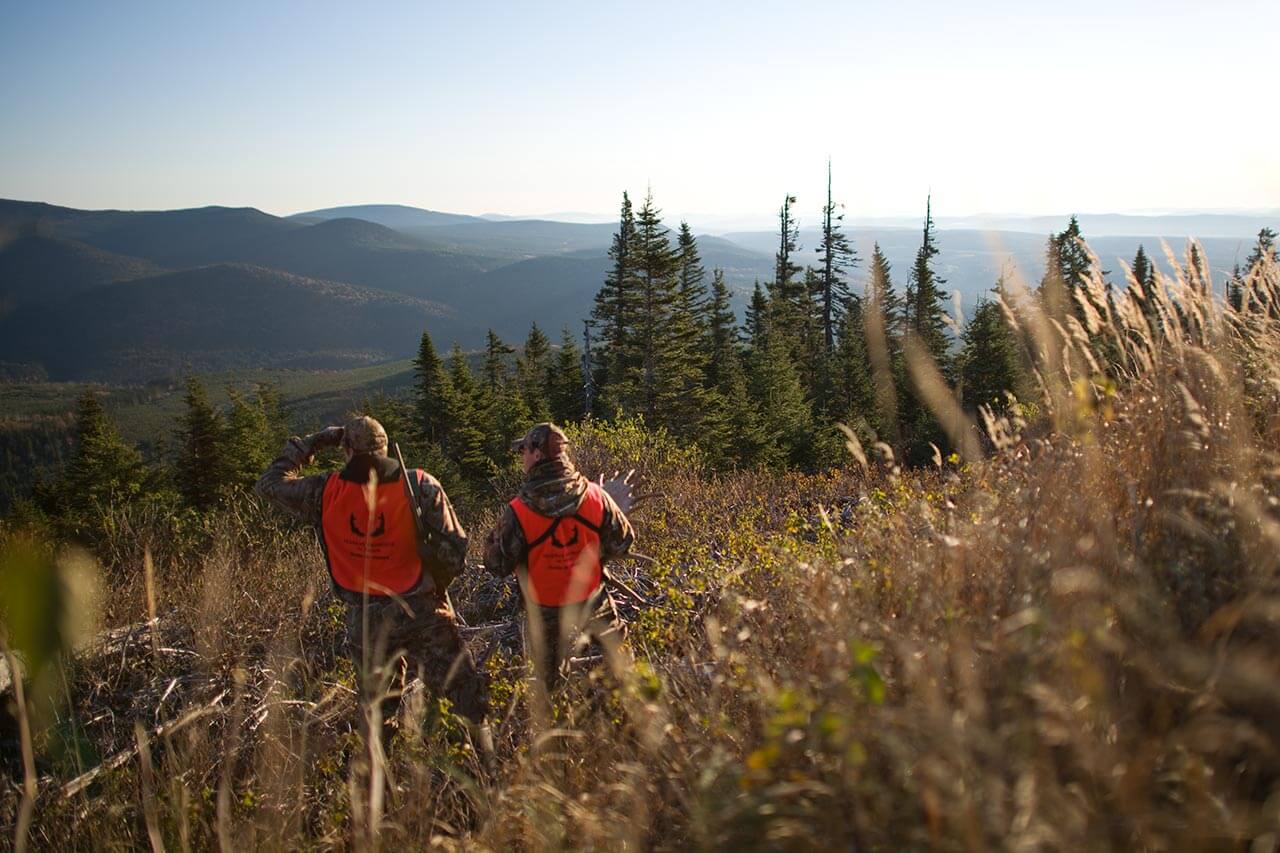 Image with missing alt attribute found on sepaq.com