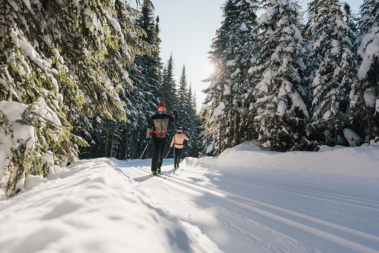 Image with missing alt attribute found on sepaq.com