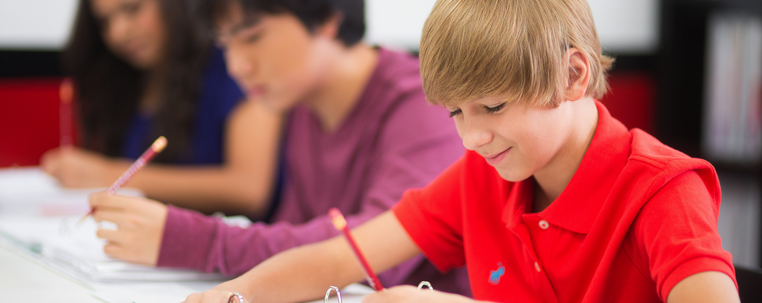 Image with missing alt attribute found on mathnasium.com