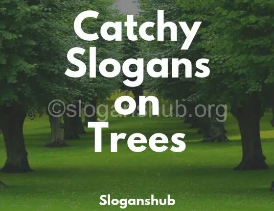 Slogans On Trees