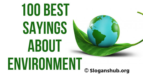 Sayings About Environment