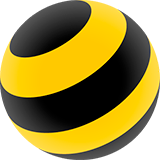 Image with missing alt attribute found on beeline.ru