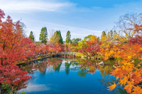 Image with missing alt attribute found on hkej.com