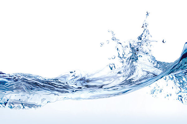 Image with missing alt attribute found on horiba.com