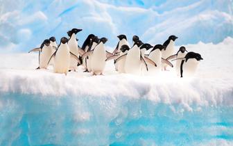 Image with missing alt attribute found on pb.pl