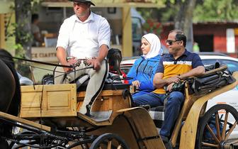 Image with missing alt attribute found on pb.pl