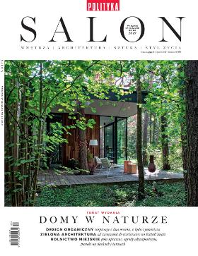 Image with missing alt attribute found on polityka.pl