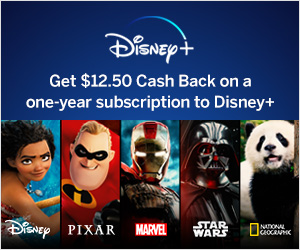 Image with missing alt attribute found on rakuten.ca