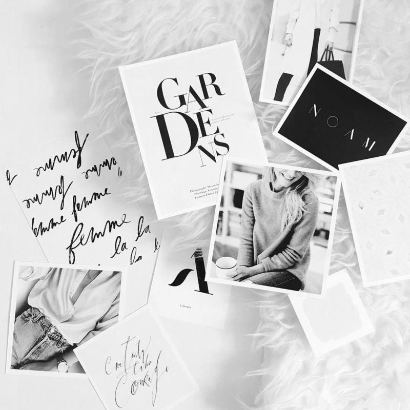 Brand Design Inspiration, Mood Board, Color Inspiration