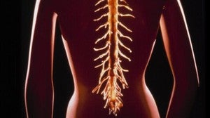 Image with missing alt attribute found on abc.es