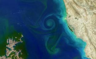 Image with missing alt attribute found on lasprovincias.es