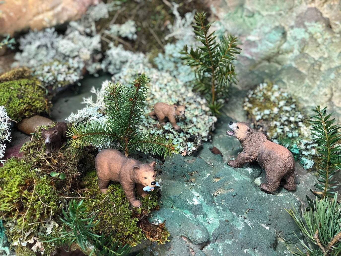 Image with missing alt attribute found on leonoticias.com