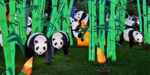 Image with missing alt attribute found on mos.ru