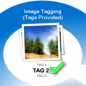 Image with missing alt attribute found on microworkers.com