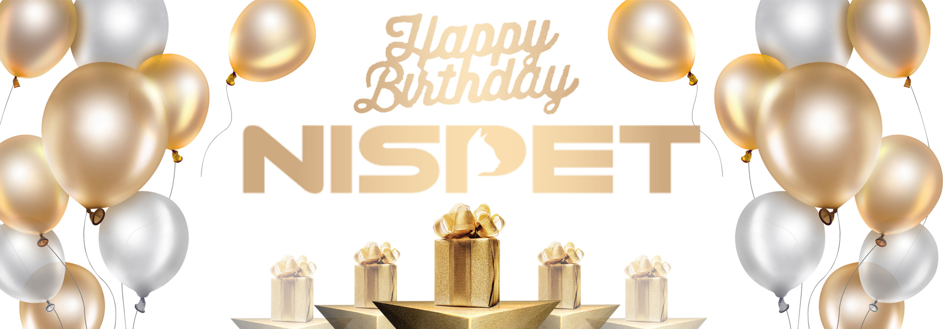 Image with missing alt attribute found on nispetart.com