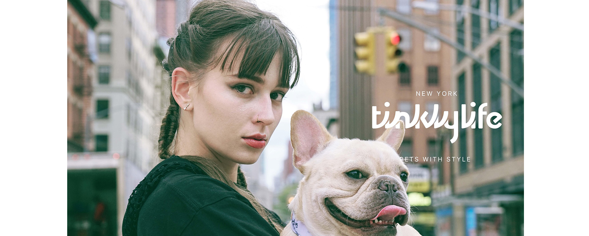 Image with missing alt attribute found on nispetart.com