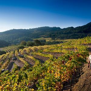 Image with missing alt attribute found on napavalley.com