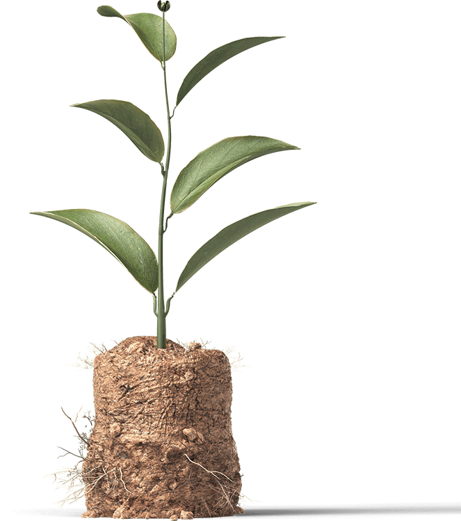 Image with missing alt attribute found on cosmetify.in