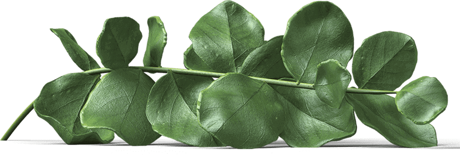 Image with missing alt attribute found on cosmetify.in